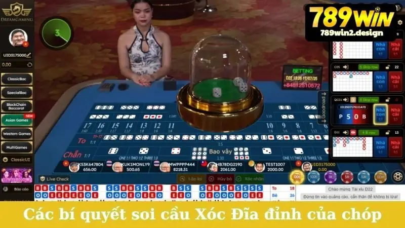 Các bí quyết soi cầu Xóc Đĩa đỉnh của chóp
