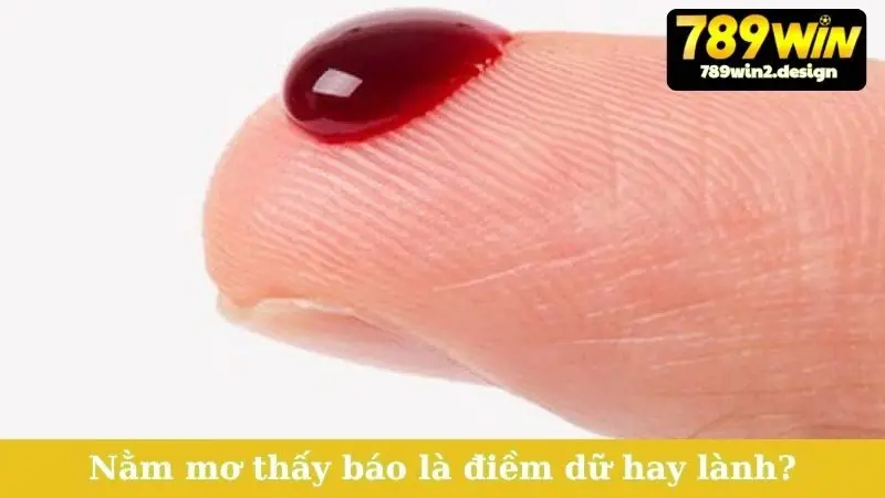 Nằm mơ thấy báo là điềm dữ hay lành?